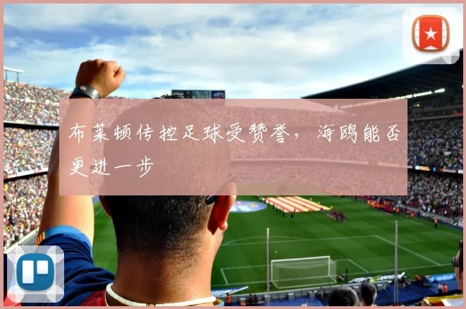 布莱顿传控足球受赞誉，海鸥能否更进一步