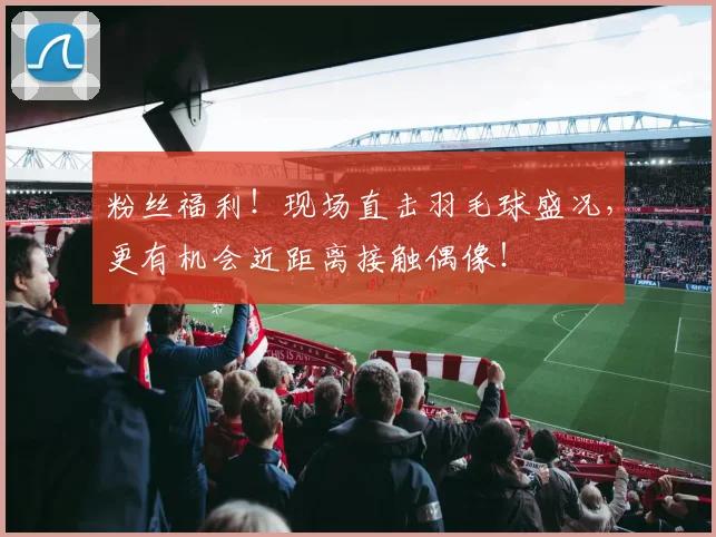 粉丝福利！现场直击羽毛球盛况，更有机会近距离接触偶像！