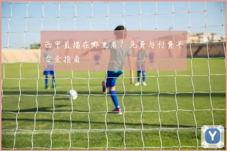 西甲直播在哪里看？免费与付费平台全指南