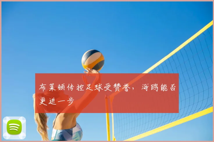 布莱顿传控足球受赞誉,海鸥能否更进一步